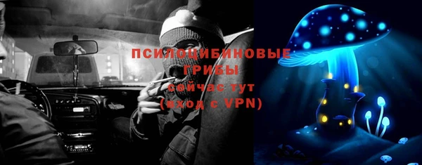 стафф Алексин