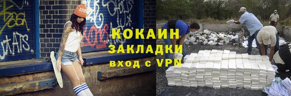 прущие грибы Протвино