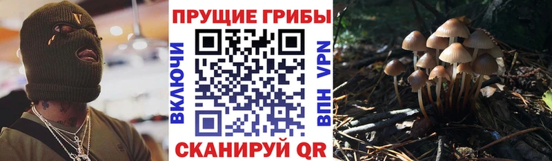 Псилоцибиновые грибы ЛСД  Миньяр 