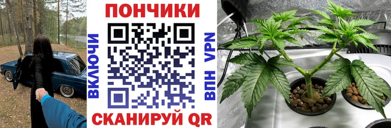 Шишки марихуана SATIVA & INDICA  купить   Миньяр 